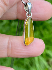 Baltic Amber Sterling Silver Pendant