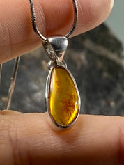 Baltic Amber Sterling Silver Pendant