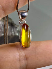 Baltic Amber Sterling Silver Pendant