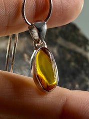 Baltic Amber Sterling Silver Pendant