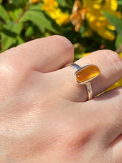 Baltic Amber Sterling Silver Ring