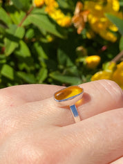 Baltic Amber Sterling Silver Ring