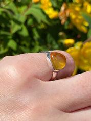 Baltic Amber Sterling Silver Ring