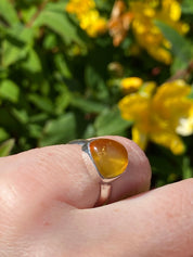 Baltic Amber Sterling Silver Ring