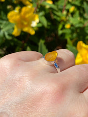 Baltic Amber Sterling Silver Ring