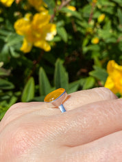 Baltic Amber Sterling Silver Ring