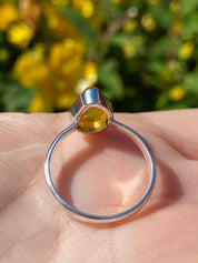 Baltic Amber Sterling Silver Ring