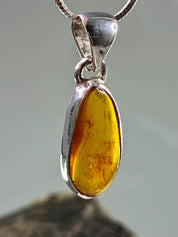 Baltic Amber Sterling Silver Pendant