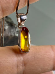 Baltic Amber Sterling Silver Pendant