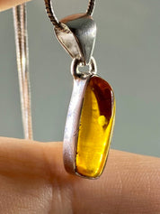 Baltic Amber Sterling Silver Pendant