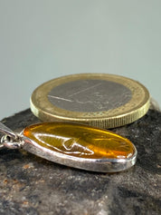 Baltic Amber Sterling Silver Pendant