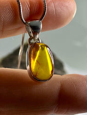 Baltic Amber Sterling Silver Pendant