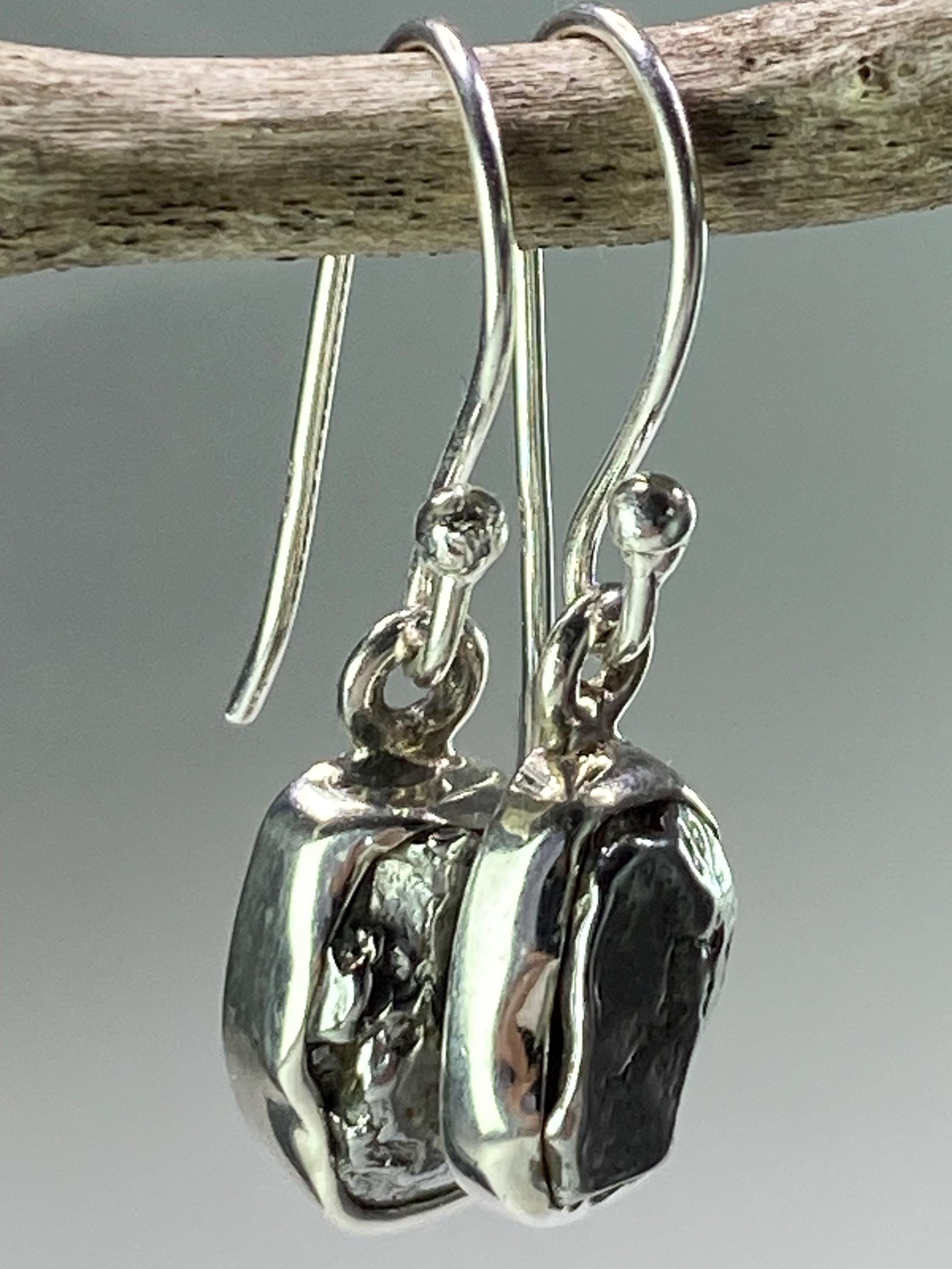 Meteorite Campo Del Cielo and Silver Dangle Earrings