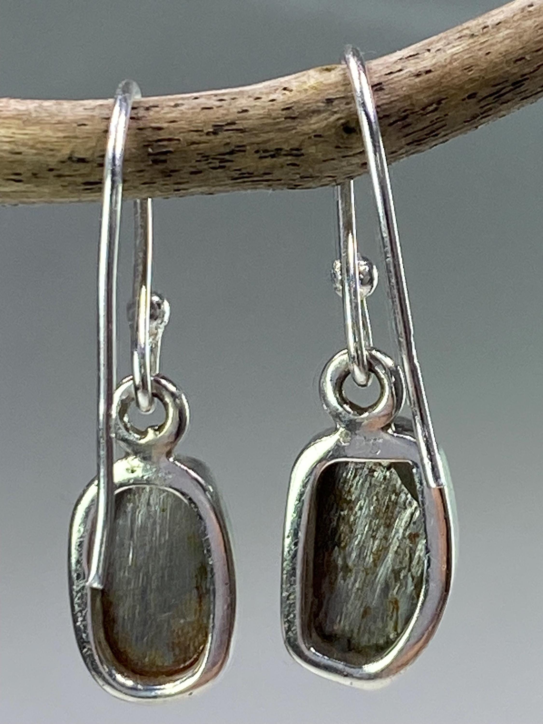 Meteorite Campo Del Cielo and Silver Dangle Earrings