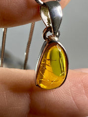 Baltic Amber Sterling Silver Pendant