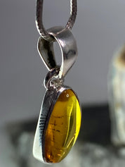 Baltic Amber Sterling Silver Pendant
