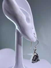 Meteorite Campo Del Cielo and Silver Dangle Earrings