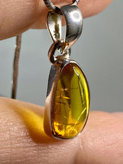 Baltic Amber Sterling Silver Pendant