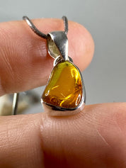 Baltic Amber Sterling Silver Pendant