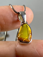 Baltic Amber Sterling Silver Pendant