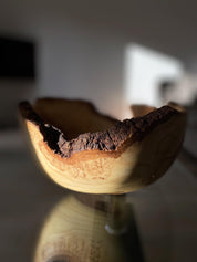 Solid Scandinavian Ash Wood Bowl Vase