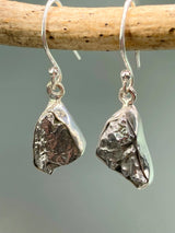 Meteorite Campo Del Cielo and Silver Dangle Earrings