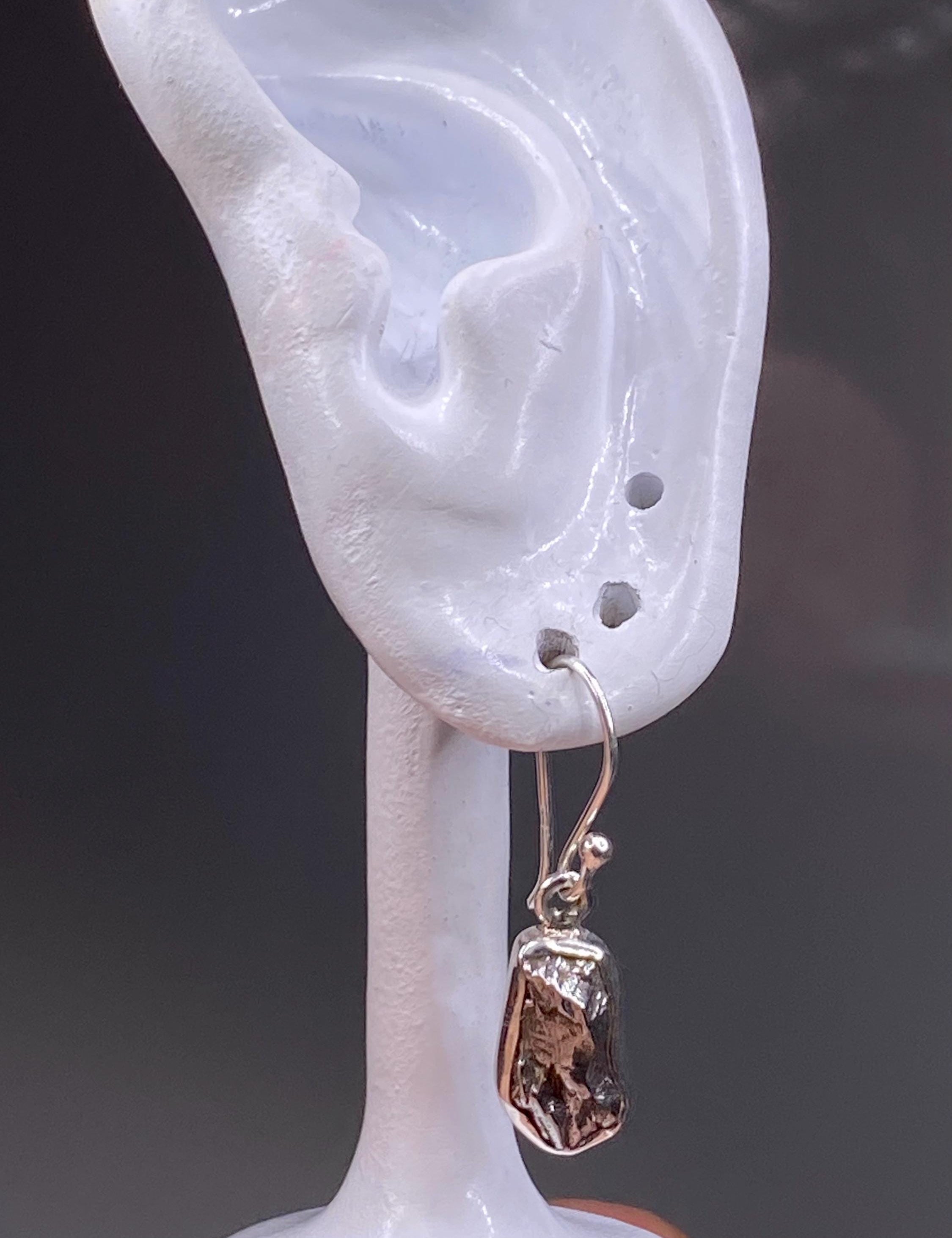 Meteorite Campo Del Cielo and Silver Dangle Earrings