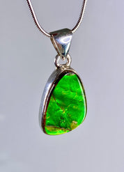 High Quality Ammolite and Silver Pendant
