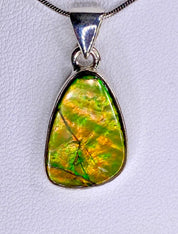 High Quality Ammolite and Silver Pendant
