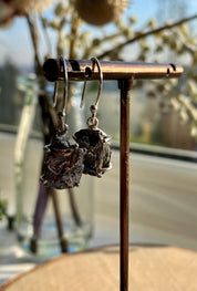 Meteorite Campo Del Cielo Silver Dangle Earrings