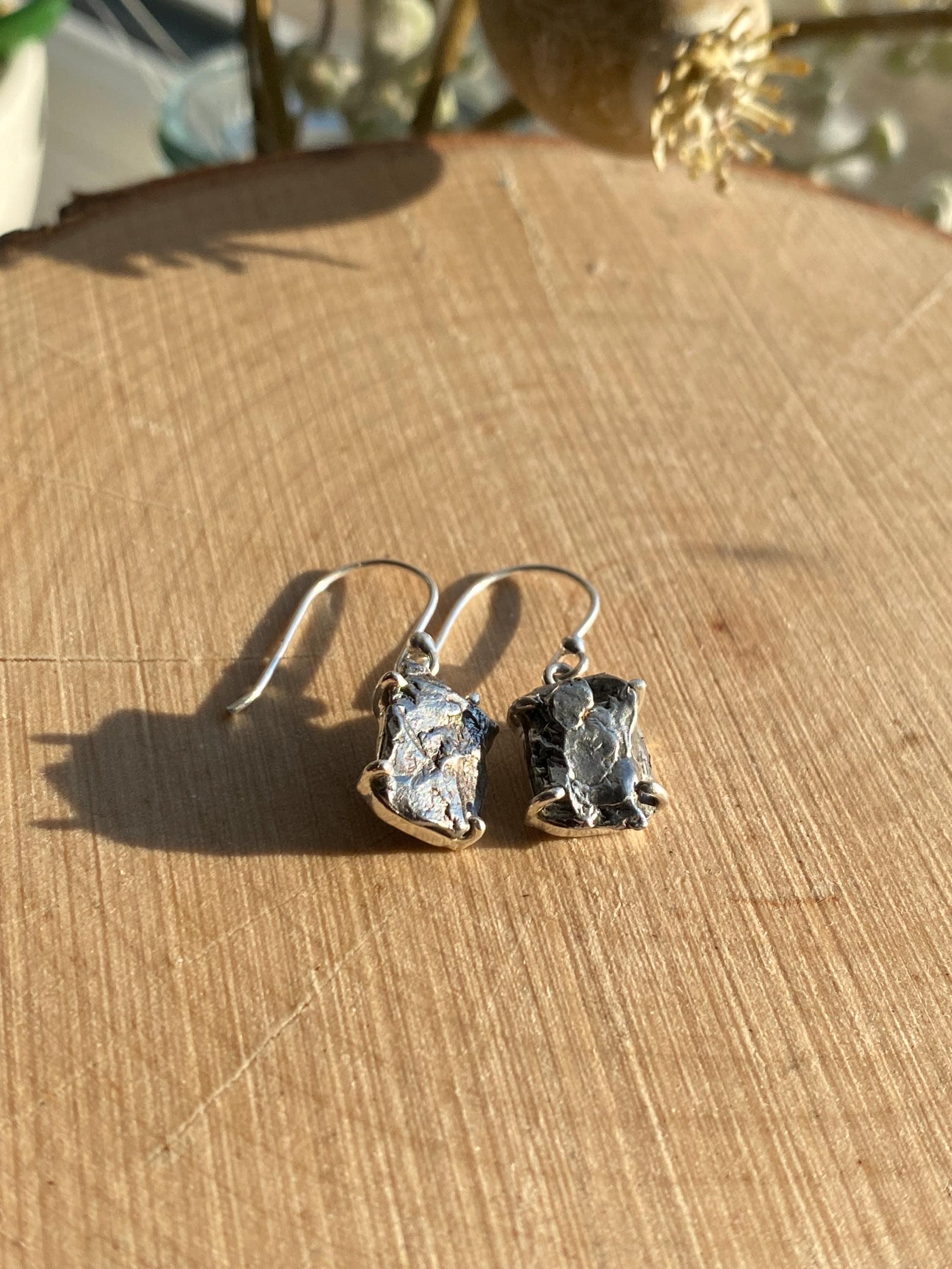 Meteorite Campo Del Cielo Silver Dangle Earrings