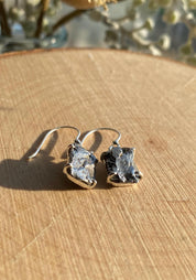 Meteorite Campo Del Cielo Silver Dangle Earrings