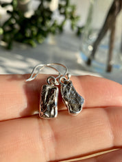 Meteorite Campo Del Cielo Sterling Silver Dangle Earrings