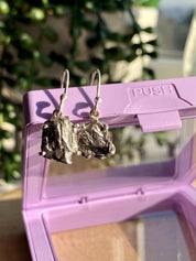 Meteorite Campo Del Cielo Silver Dangle Earrings