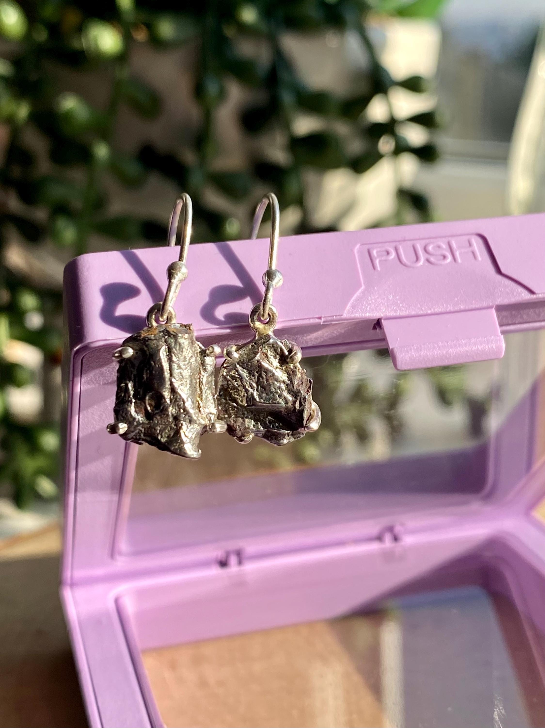 Meteorite Campo Del Cielo Silver Dangle Earrings