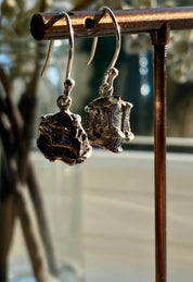 Meteorite Campo Del Cielo Silver Dangle Earrings