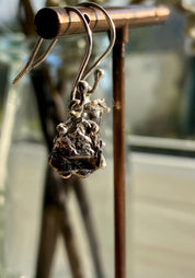 Meteorite Campo Del Cielo Silver Dangle Earrings
