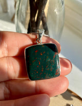 African Dragon Bloodstone and Silver Pendant.