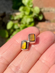 Natural Ammolite Sterling Silver Stud Earrings