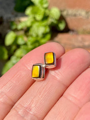 Natural Ammolite Sterling Silver Stud Earrings