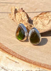 Natural Ammolite Sterling Silver Stud Earrings