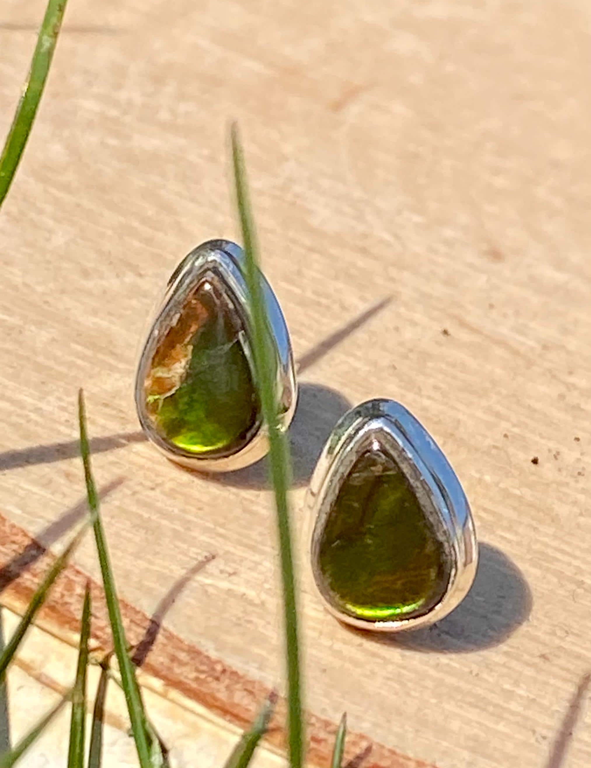 Natural Ammolite Sterling Silver Stud Earrings