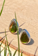 Natural Ammolite Sterling Silver Stud Earrings