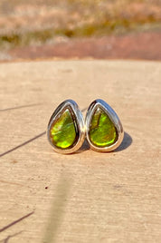 Natural Ammolite Sterling Silver Stud Earrings