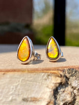 Natural Ammolite Sterling Silver Stud Earrings