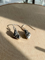 Meteorite Campo Del Cielo Silver Dangle Earrings
