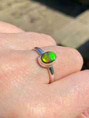 High Quality Ammolite and Sterling Silver Ring