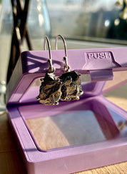 Meteorite Campo Del Cielo Silver Dangle Earrings