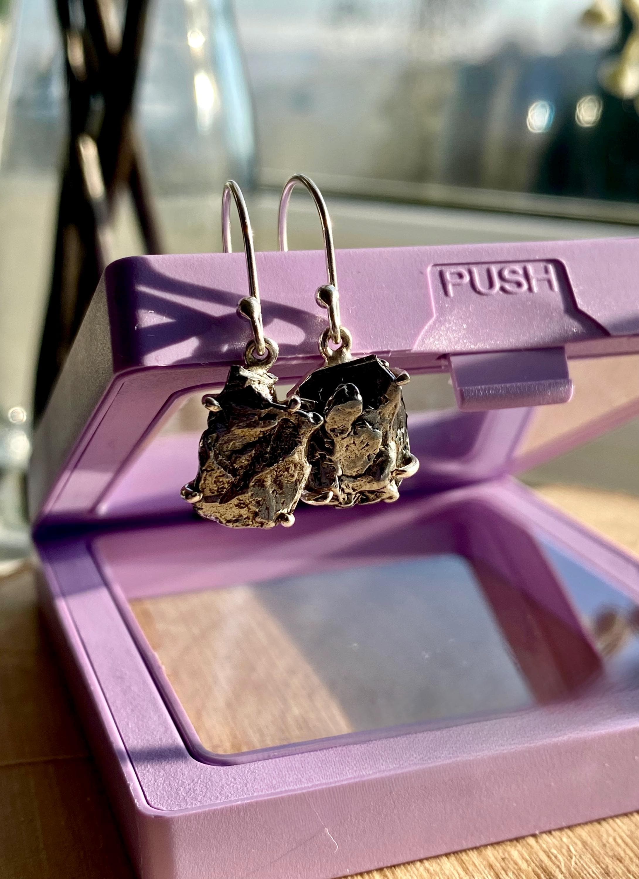 Meteorite Campo Del Cielo Silver Dangle Earrings
