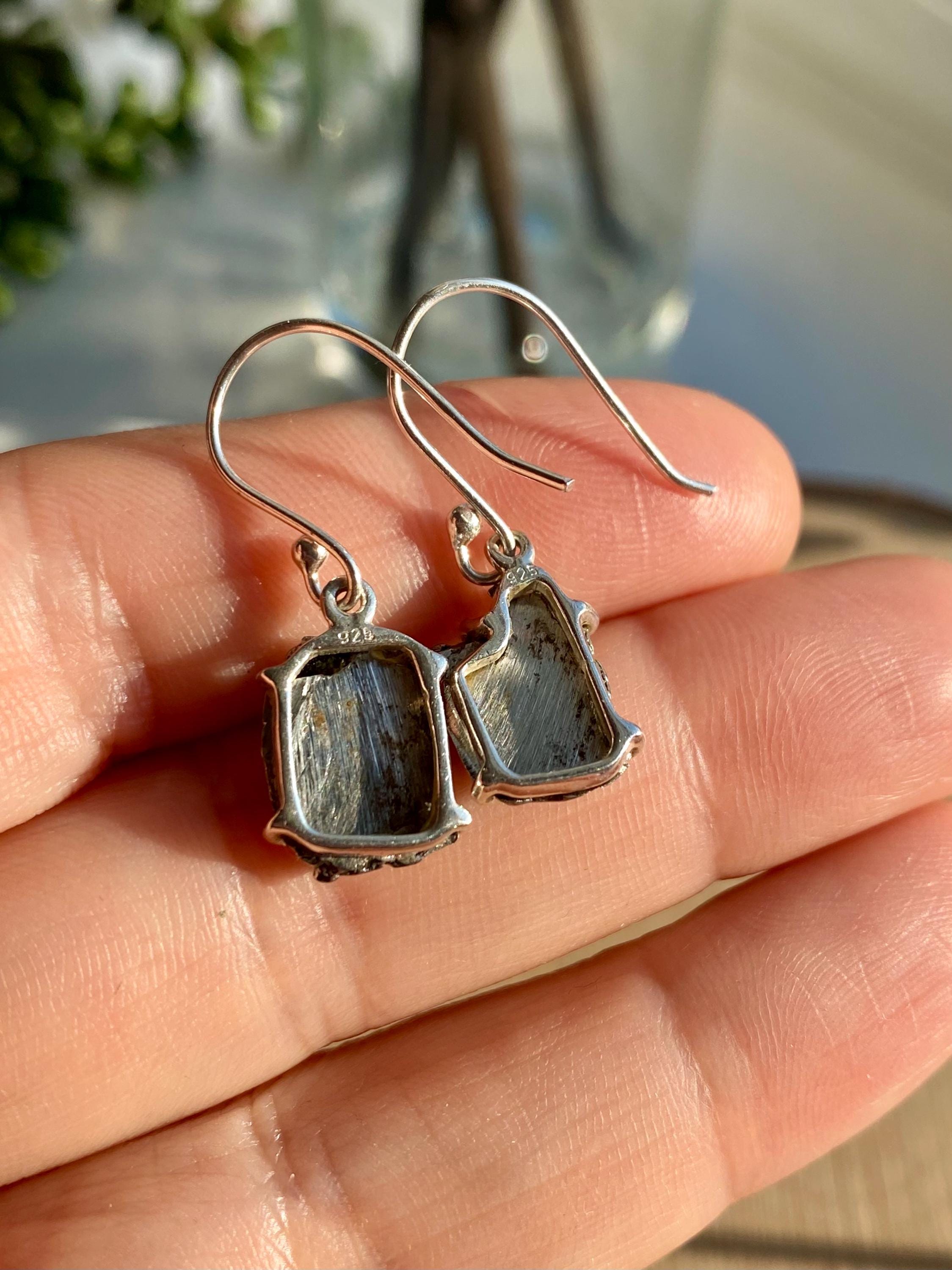 Meteorite Campo Del Cielo Silver Dangle Earrings